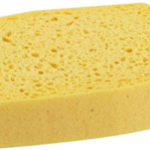 Eponge végétale